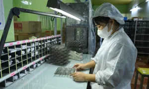 PwC: Doanh nghiệp Việt đang 'chuyển đổi toàn diện'