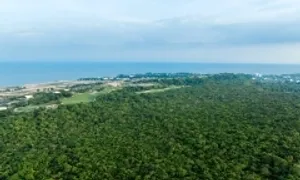 Những lợi thế đưa Hồ Tràm thành điểm đến nghỉ dưỡng mới Những lợi thế đưa Hồ Tràm thành điểm đến nghỉ dưỡng mới