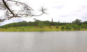 Đà Lạt vào top điểm đến lãng mạn như châu Âu thế kỷ XIX Đà Lạt vào top điểm đến lãng mạn như châu Âu thế kỷ XIX