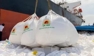 Lãnh đạo Lộc Trời: Chúng tôi chỉ biết làm nông, không có kinh nghiệm tài chính