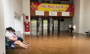 Bệnh tật rình rập sau dòng nước mưa lũ