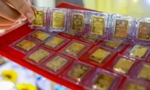 Cục Thống kê: Áp lực lạm phát vẫn chưa lớn