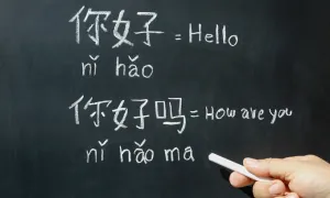 Có nên đi học văn bằng 2 tiếng Trung sau 5 năm đi làm?