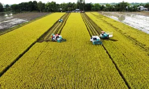 Đề xuất cá nhân, hộ kinh doanh được giảm 2% lãi suất khi vay vốn xanh