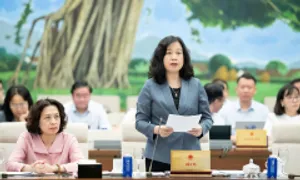 Đề xuất đình chỉ hành nghề bác sĩ tiết lộ giới tính thai nhi