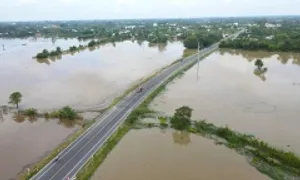 Đường xuyên Đồng Tháp Mười kết nối biên giới và cao tốc