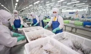 Một doanh nghiệp tôm tốn gần 200 tỷ đồng đóng thuế đối ứng